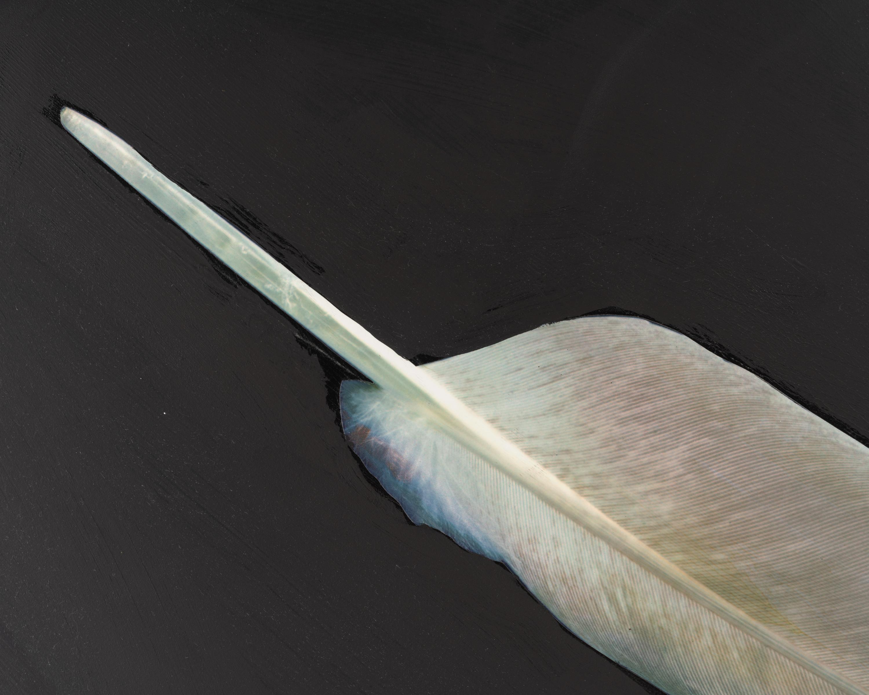 Feather