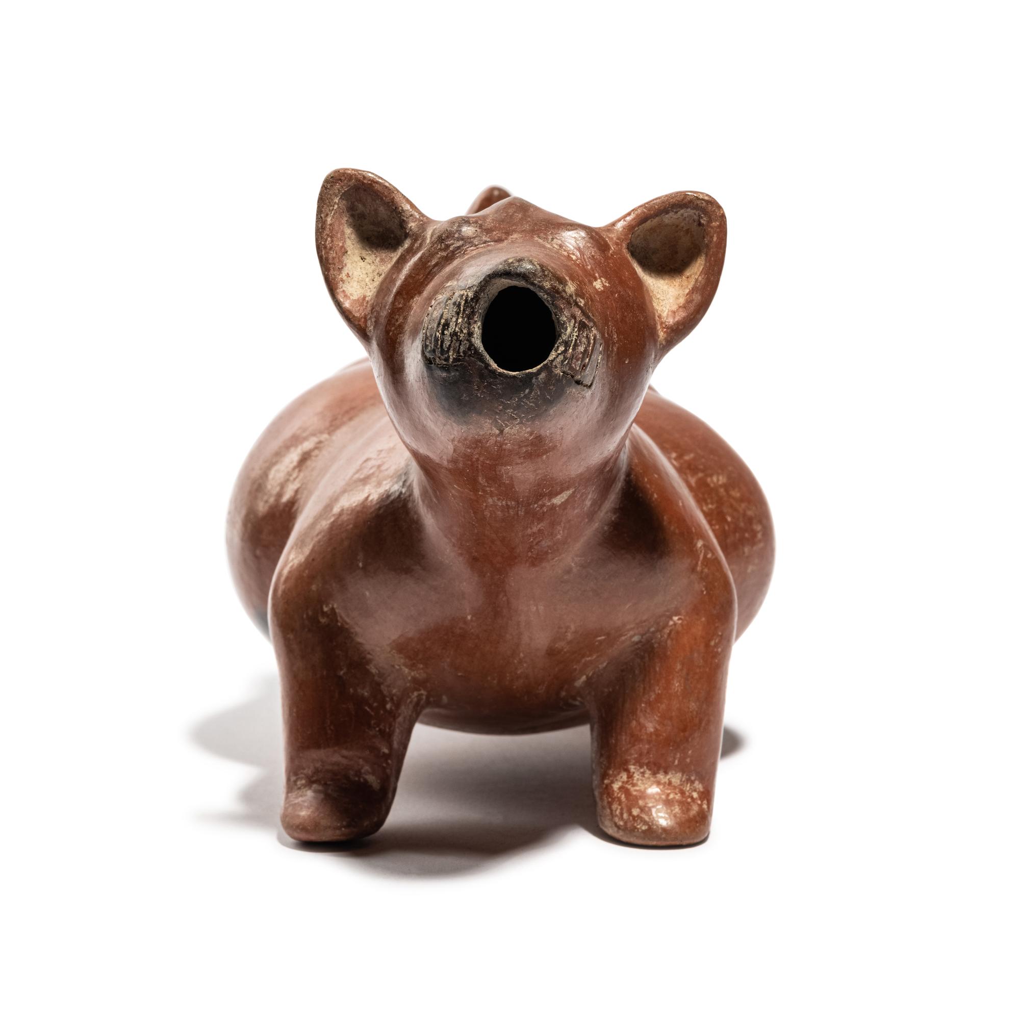 A Colima Dog Effigy Vessel