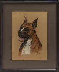 Gladys Emerson Cook, (American, 1899-1976), Boxer Head Study