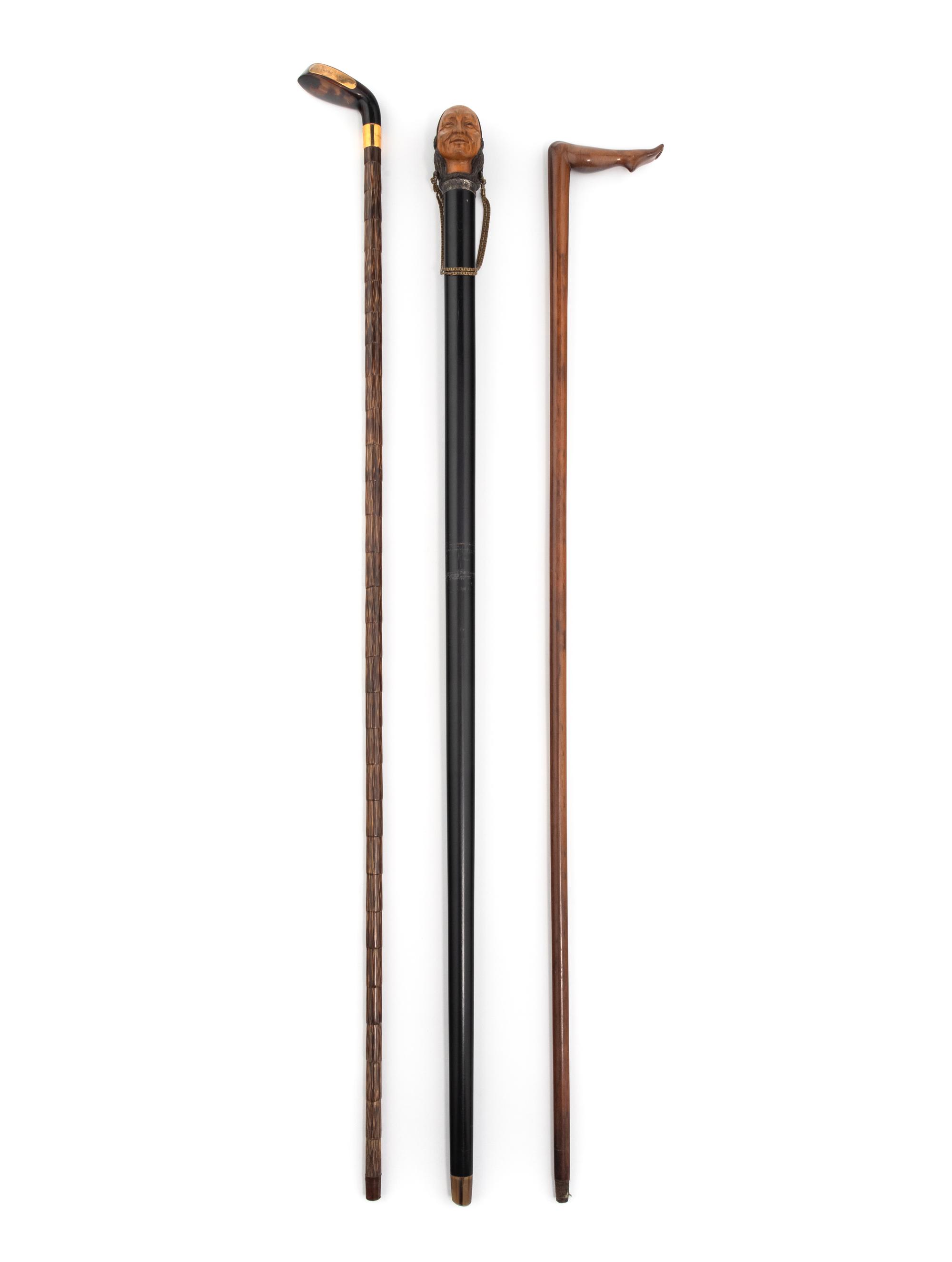 A Group of Three Carved Wood and Tortoise Shell Walking Sticks