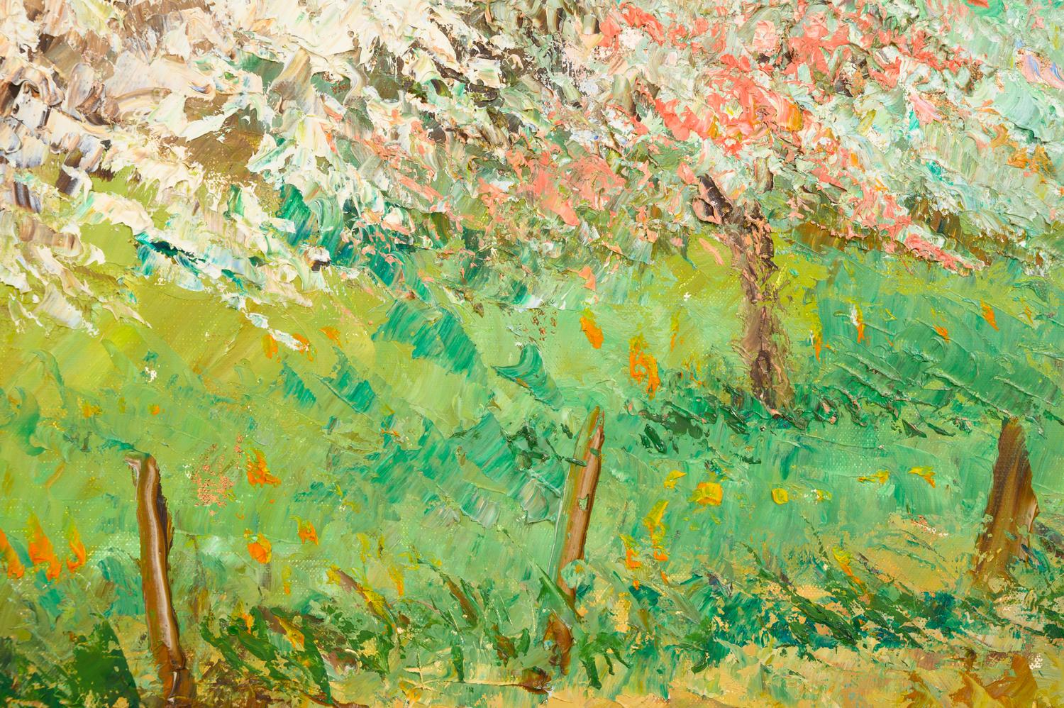 Pommier en fleurs