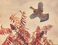 Aiden Lassell Ripley (American, 1896-1969) - Grouse and Sumac