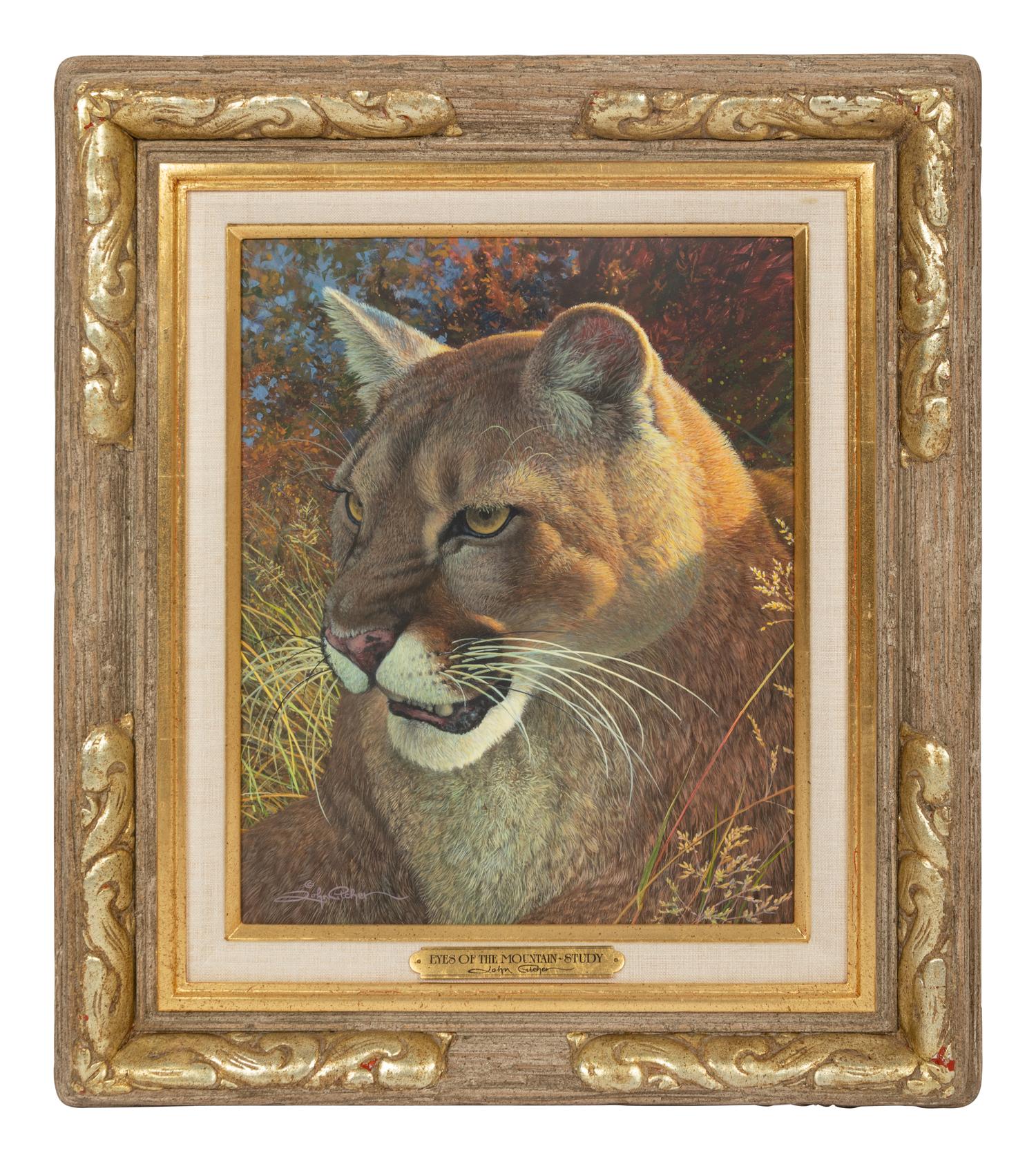 Eyes of the Mountain , 1996