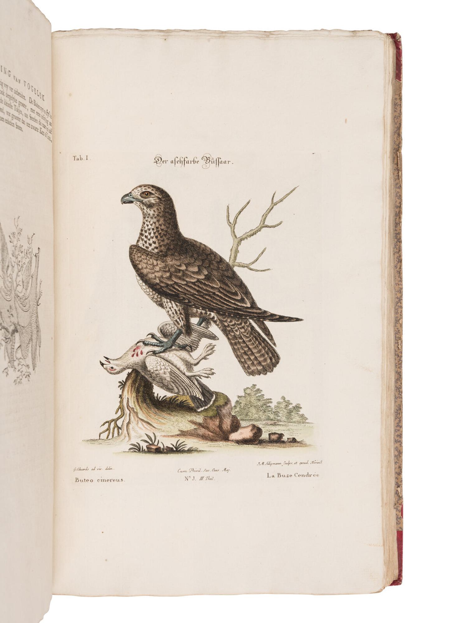 [NATURAL HISTORY]. SELIGMANN, Johann Michael (1720-1762). Verzameling van Uitlandsche en Zeldzaame Vogelen...in't Nedertuitsch vertaald... door M. Houttuyn . Amsterdam: Jan Christiaan Sepp, 1772-1781.