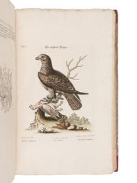 [NATURAL HISTORY]. SELIGMANN, Johann Michael (1720-1762). Verzameling van Uitlandsche en Zeldzaame Vogelen...in't Nedertuitsch vertaald... door M. Houttuyn . Amsterdam: Jan Christiaan Sepp, 1772-1781.