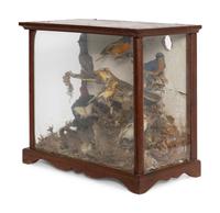 A Victorian Taxidermy Diorama