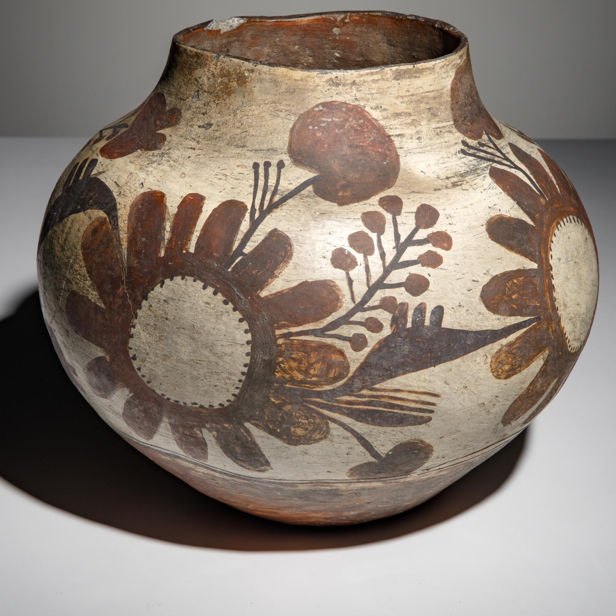 Zia Polychrome Pottery Olla