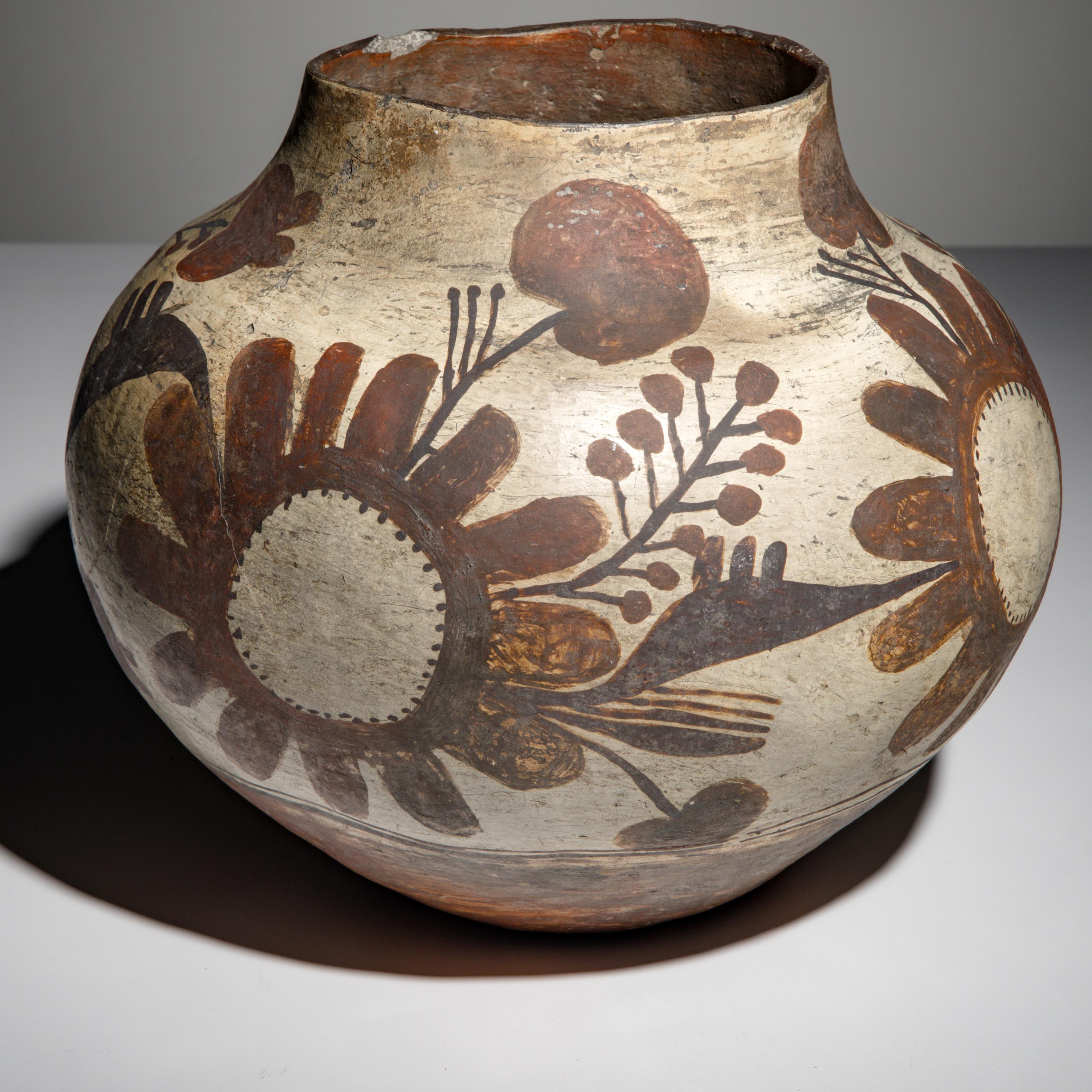 Zia Polychrome Pottery Olla