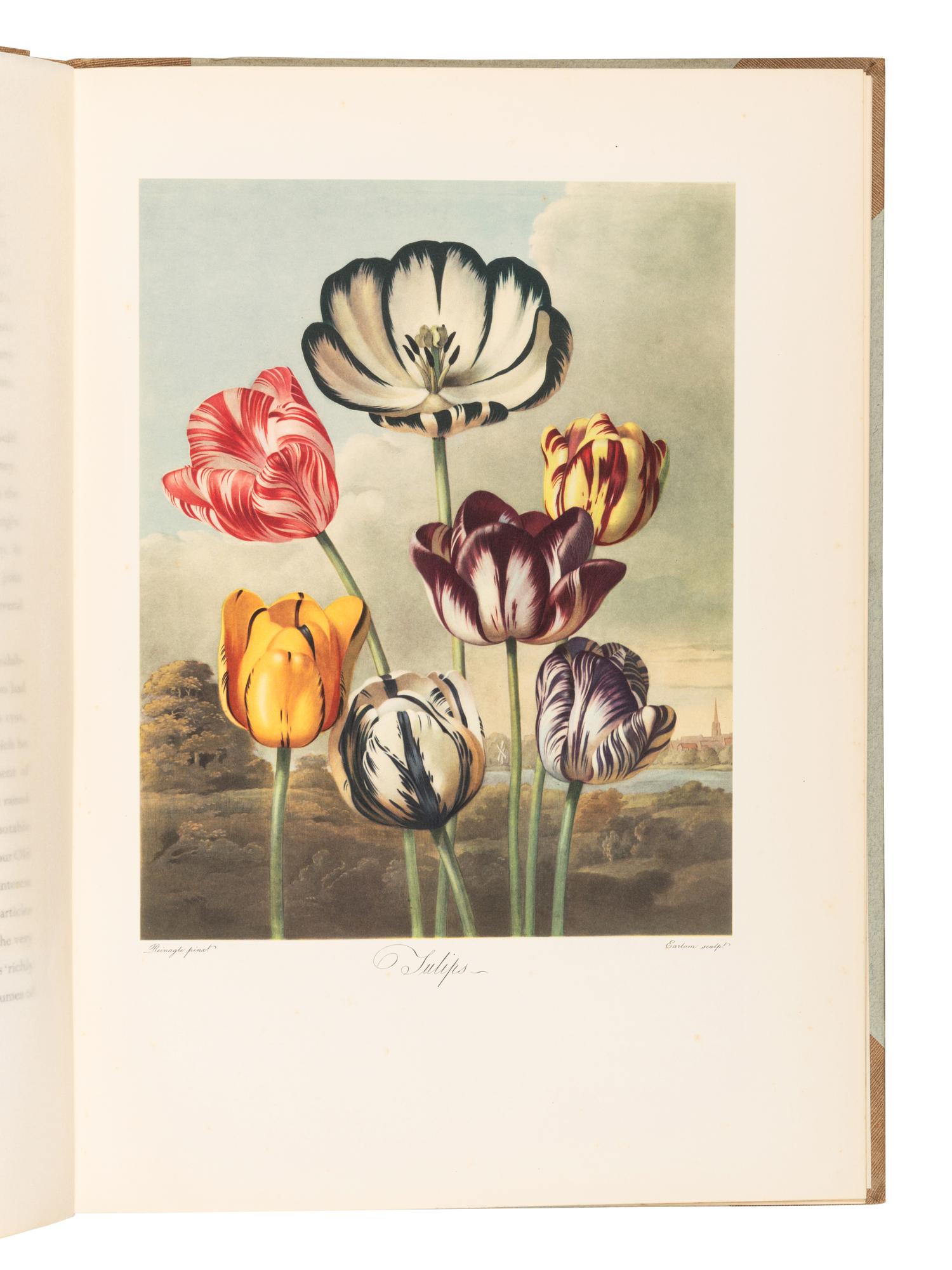 [GARDENS & FLORA]. A group of 8 works, including: