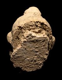 Five Gandharan Fragmentary Stucco Heads