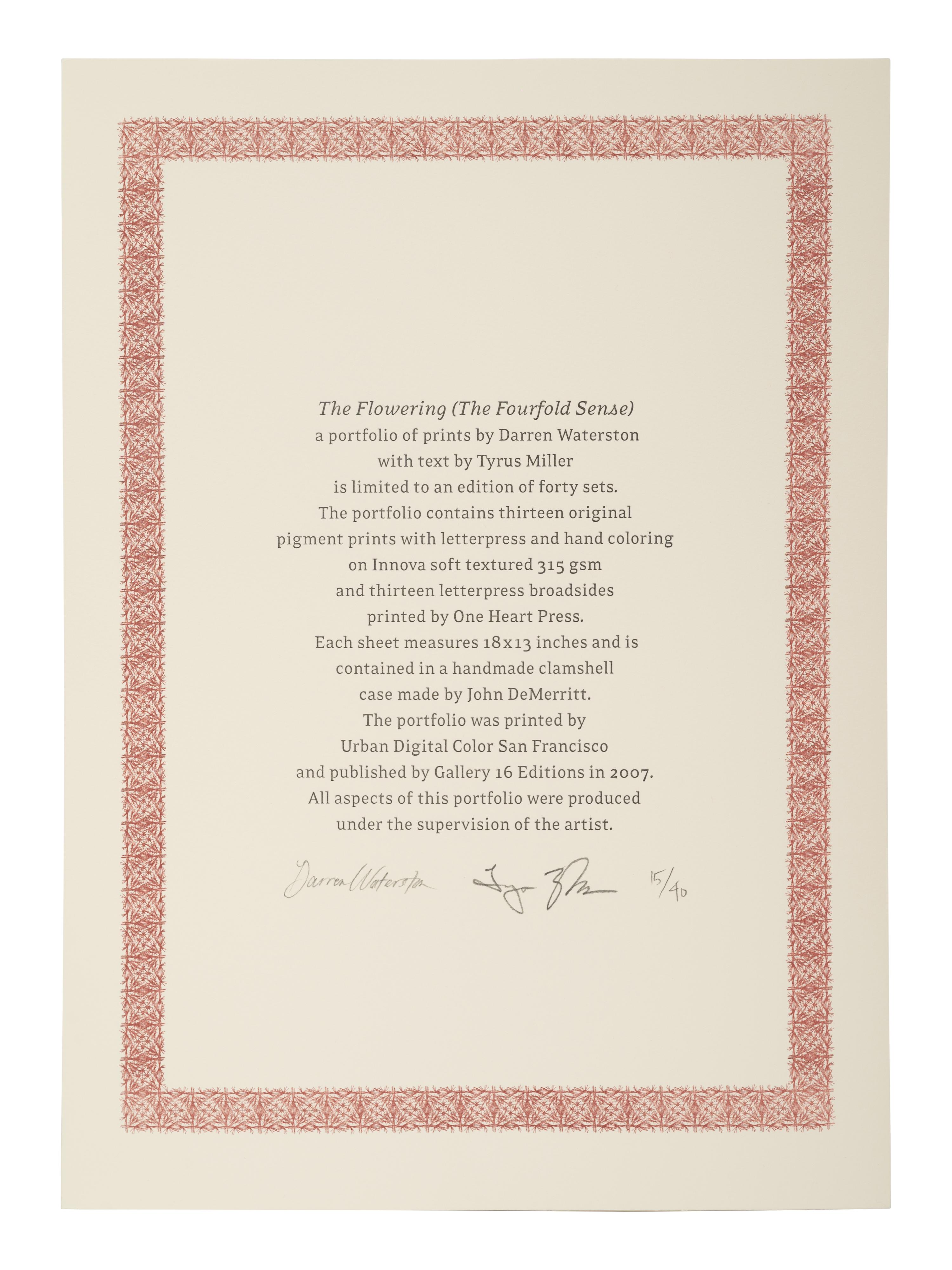 The Flowering (The Fourfold Sense), 2007 (complete portfolio of thirteen)