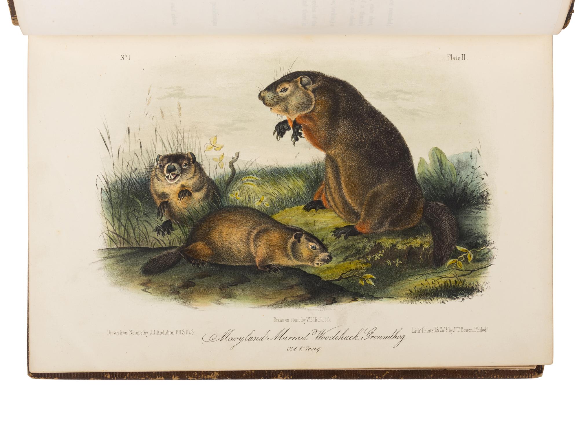 AUDUBON, John James (1785-1851) and John BACHMAN (1790-1874). The Quadrupeds of North America . New York: V.G. Audubon, 1849, 1851, 1854.