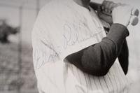 A Group of 1950s Comiskey Park Chicago White Sox Signed Type One Photographs and Ephemera Including Nellie Fox Signed Photograph,