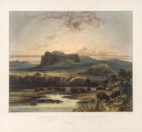 BODMER, Karl (1809-1893) Herd of Bisons on the Upper Missouri (Tab. 40).