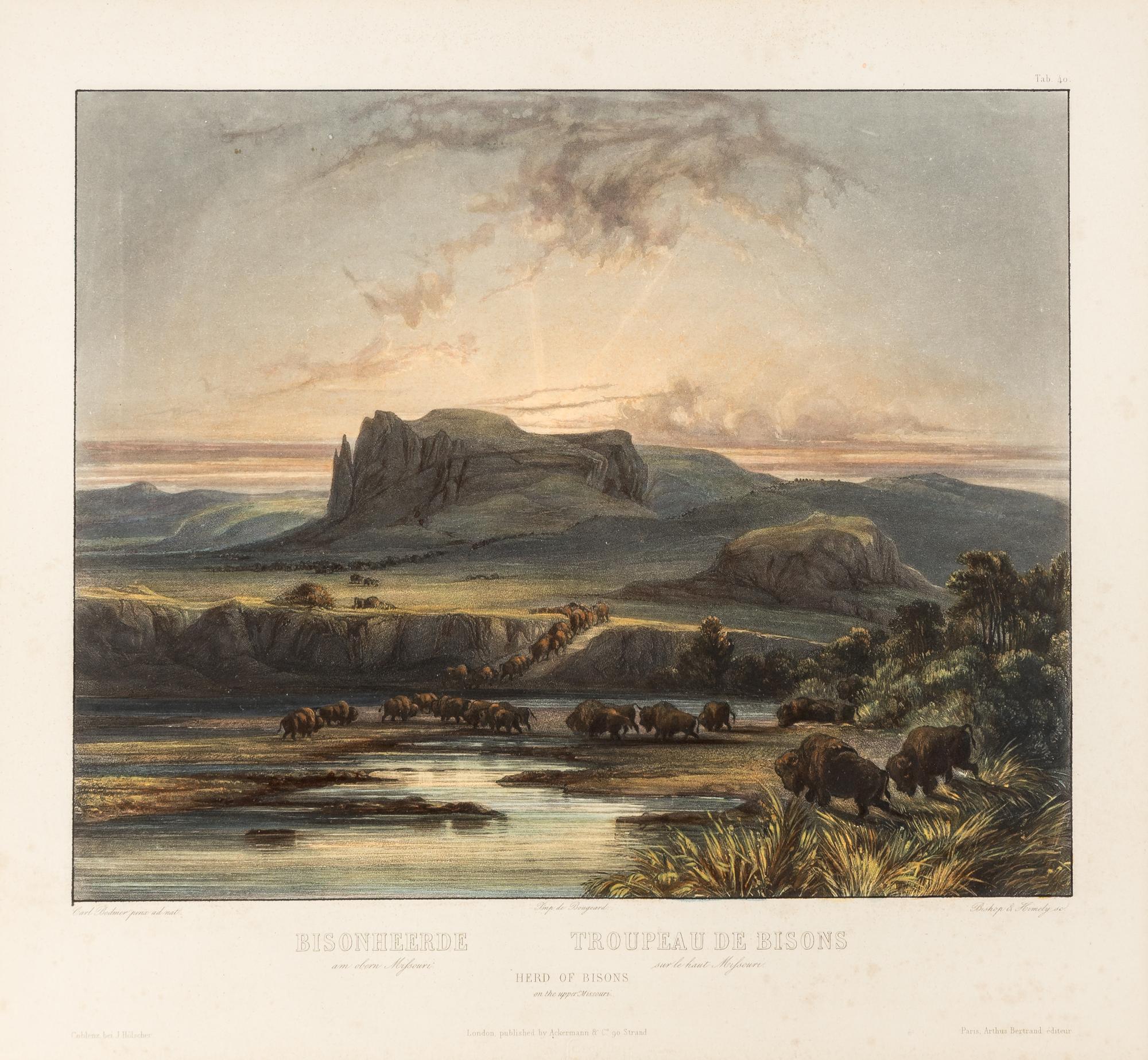 BODMER, Karl (1809-1893) Herd of Bisons on the Upper Missouri (Tab. 40).