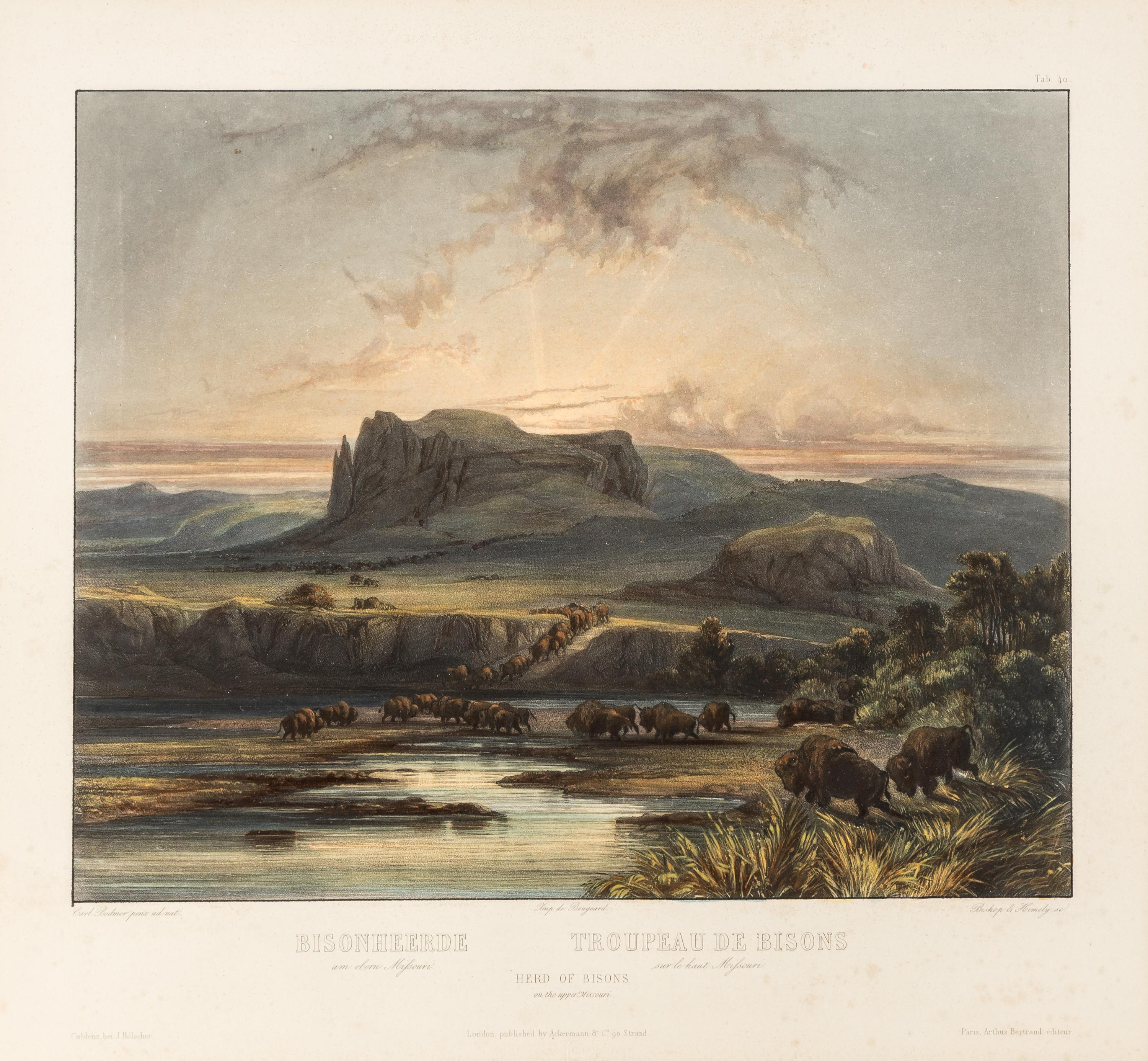 BODMER, Karl (1809-1893) Herd of Bisons on the Upper Missouri (Tab. 40).
