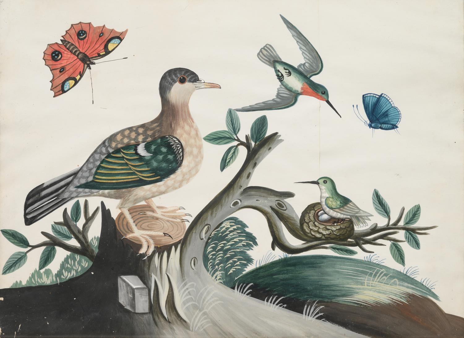 A Set of Six Irish George III Embossed Bird Pictures by Samuel Dixon