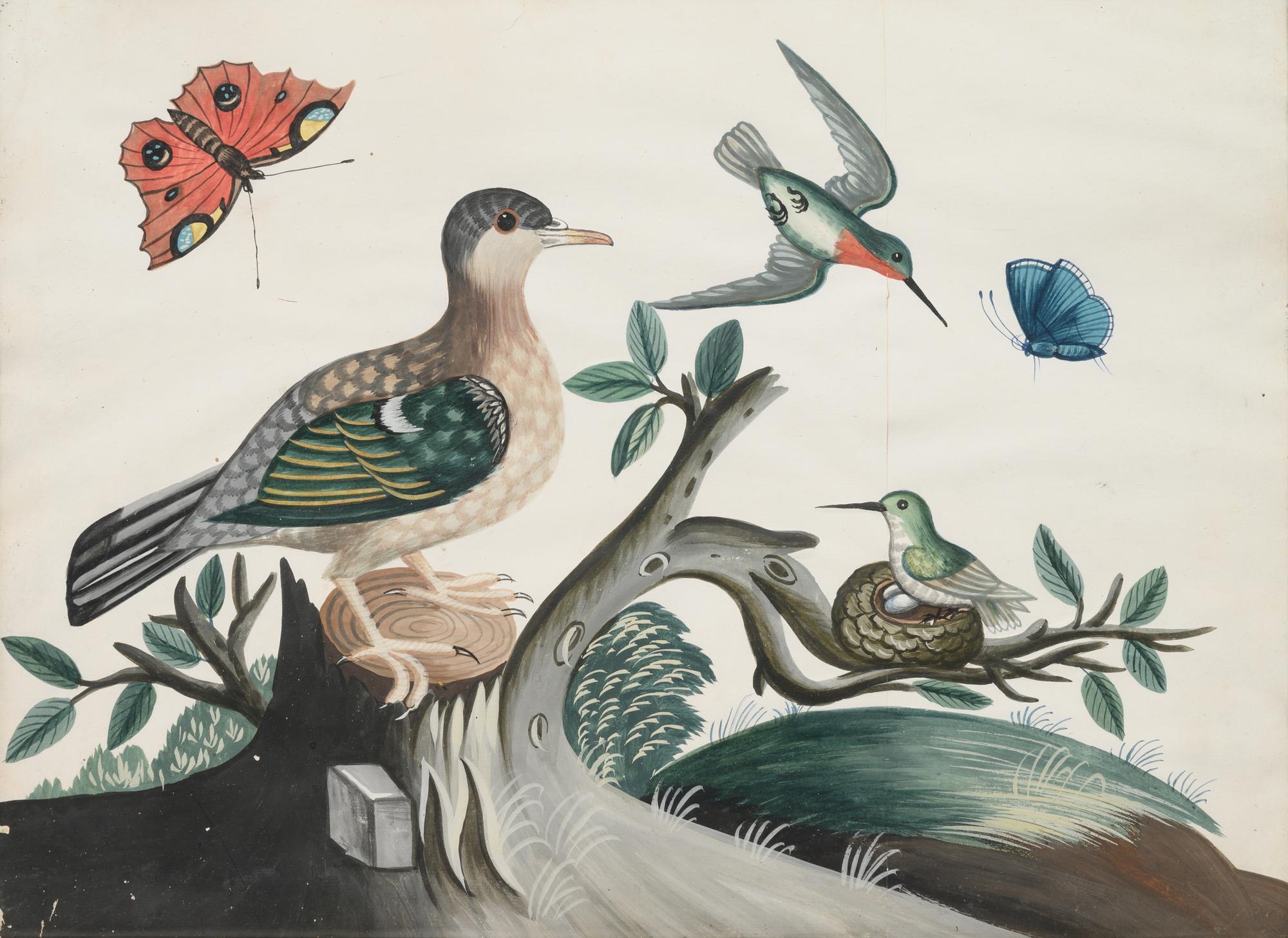 A Set of Six Irish George III Embossed Bird Pictures by Samuel Dixon