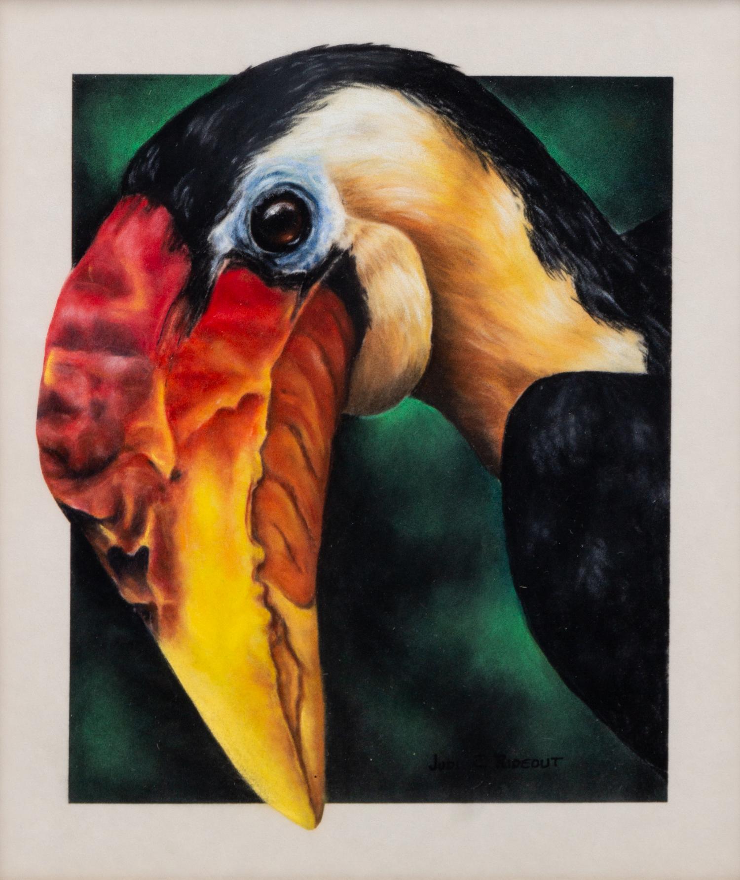 Hornbill , 1996