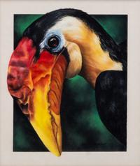 Hornbill , 1996