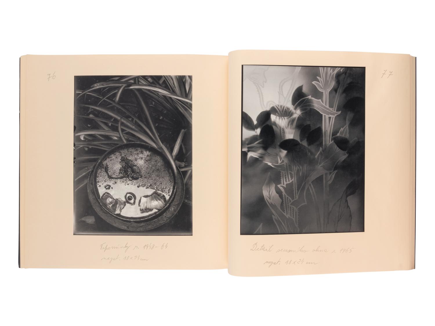 CZECH, POLISH AND RUSSIAN LANGUAGE A group of 16 works, a few INSCRIBED TO SECRETARY ALBRIGHT: