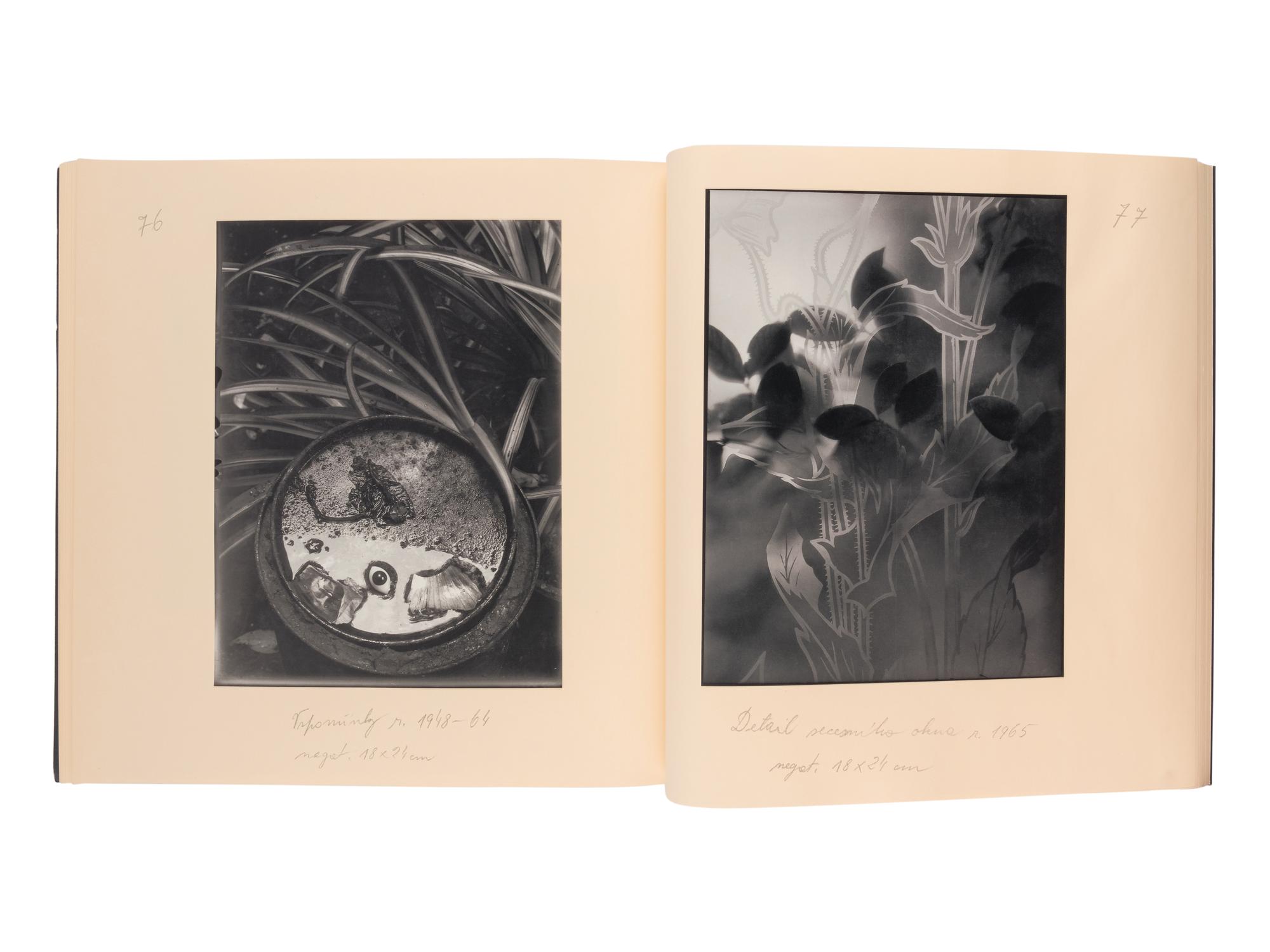 CZECH, POLISH AND RUSSIAN LANGUAGE A group of 16 works, a few INSCRIBED TO SECRETARY ALBRIGHT:
