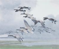 Peter Markham Scott, (British, 1909-1989), Canada Geese Out of a Rain Squall, 1978
