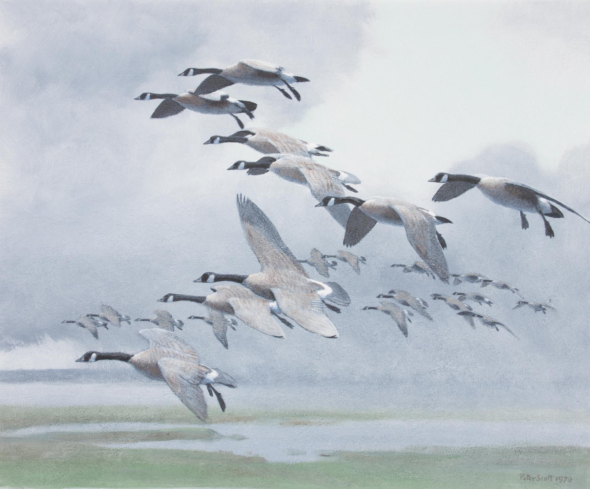 Peter Markham Scott, (British, 1909-1989), Canada Geese Out of a Rain Squall, 1978