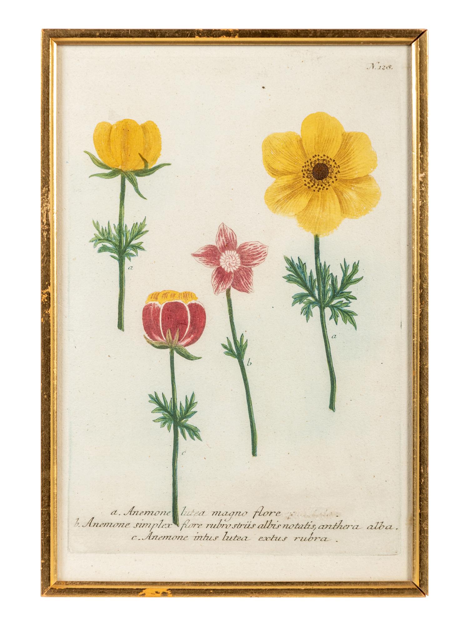 A Set of Six Hand-Colored Botanical Engravings