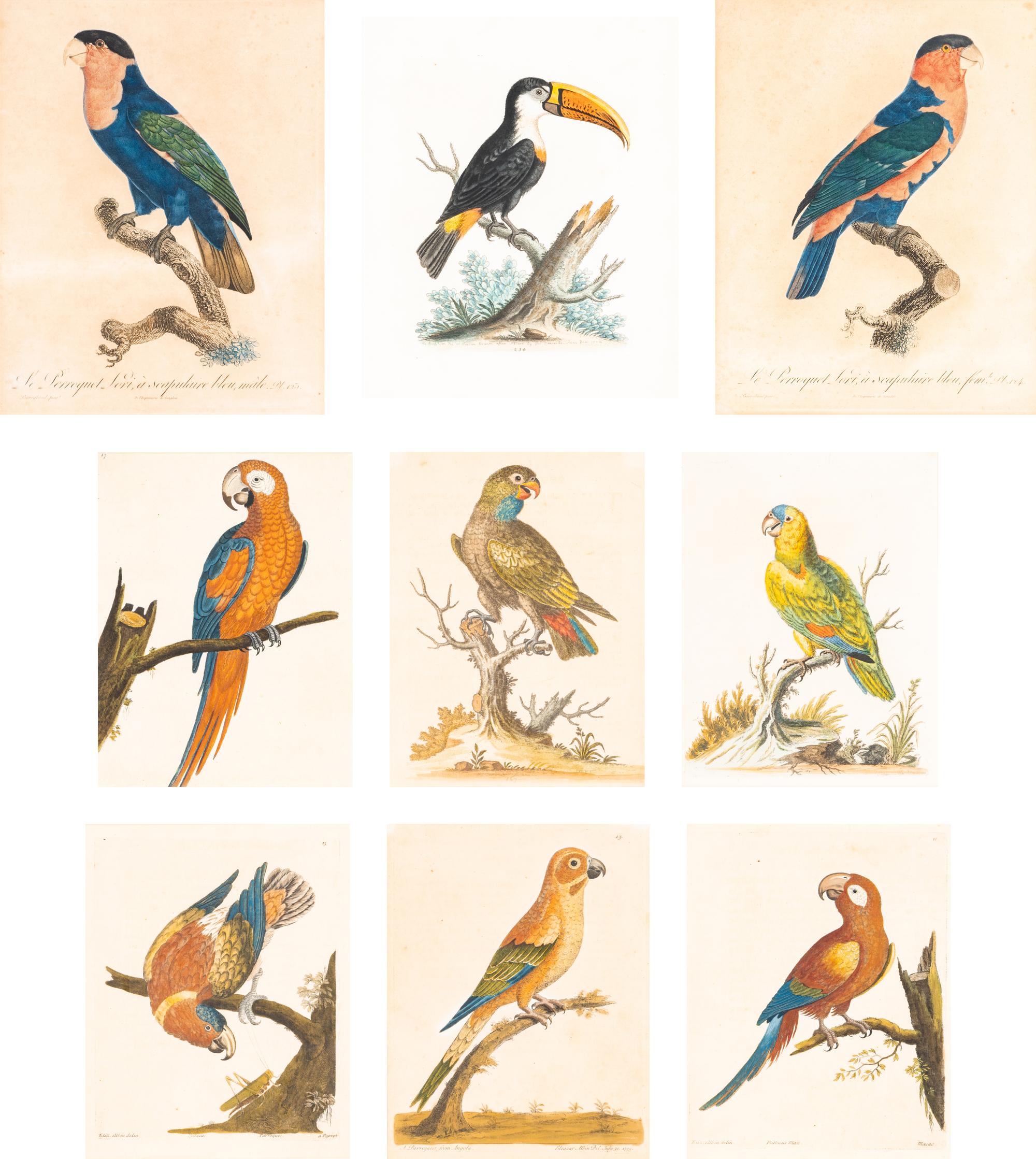 A Group of Nine Hand-Colored Engravings of Birds
