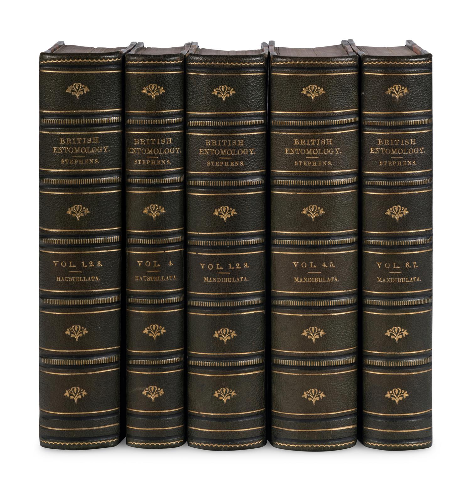 [NATURAL HISTORY]. STEPHENS, James Francis (1792-1852). Illustrations of British Entomology; or, a Synopsis of Indigenous Insects . London: for the author by Baldwin and Cradock, 1828-1846.