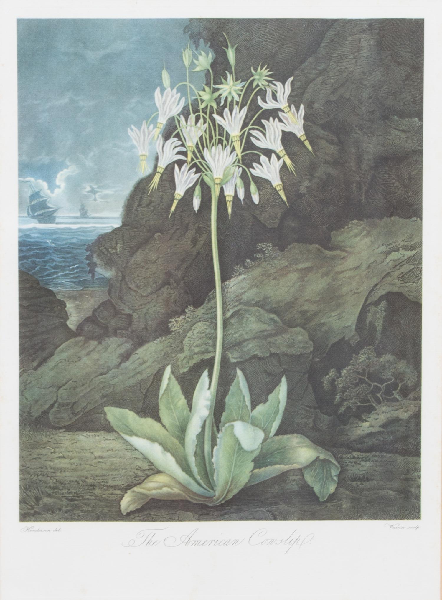 A Group of Seven Hand Colored Engravings Largest 27 x 21 inches. — 19TH CENTURY