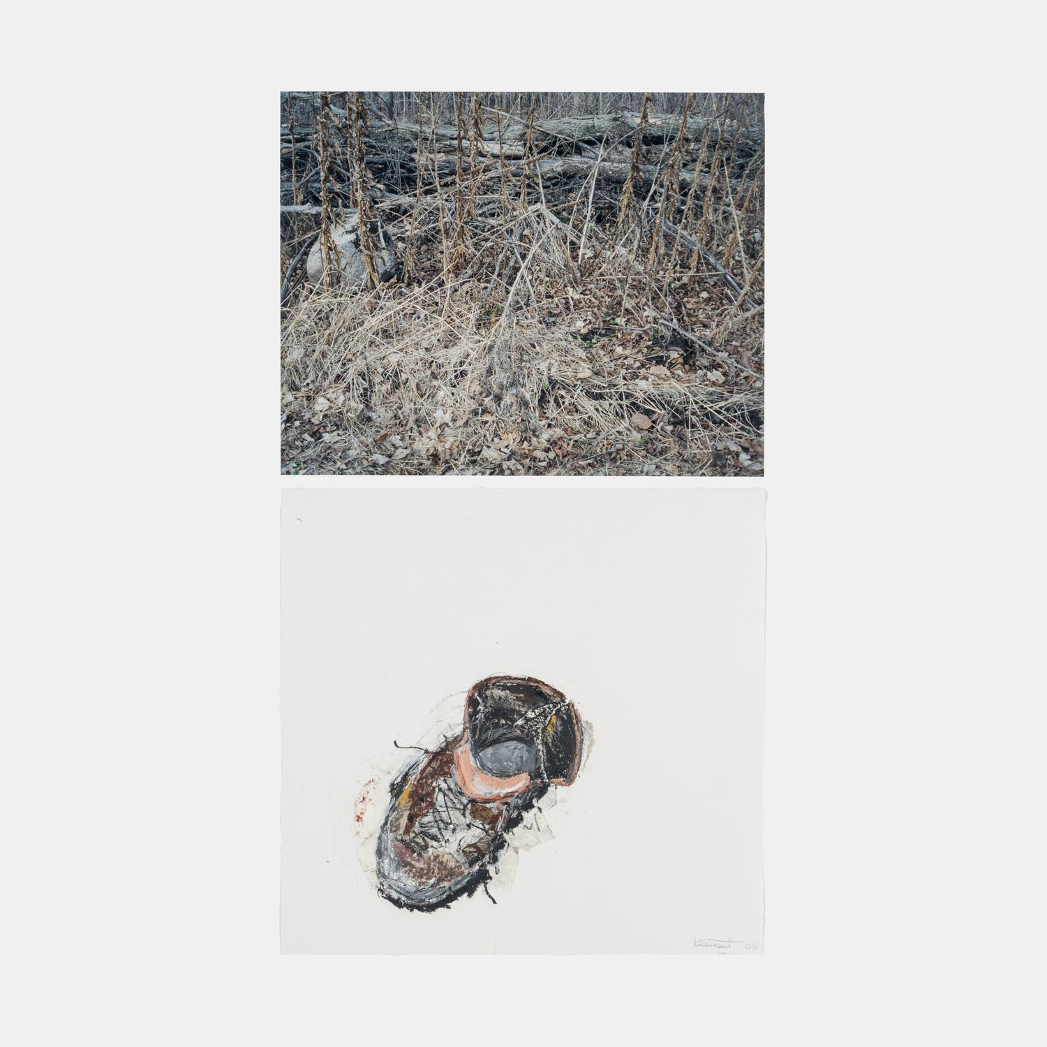 War Monody, Autumn, Series 3, #5 (diptych) , 2008