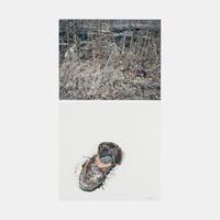 War Monody, Autumn, Series 3, #5 (diptych) , 2008