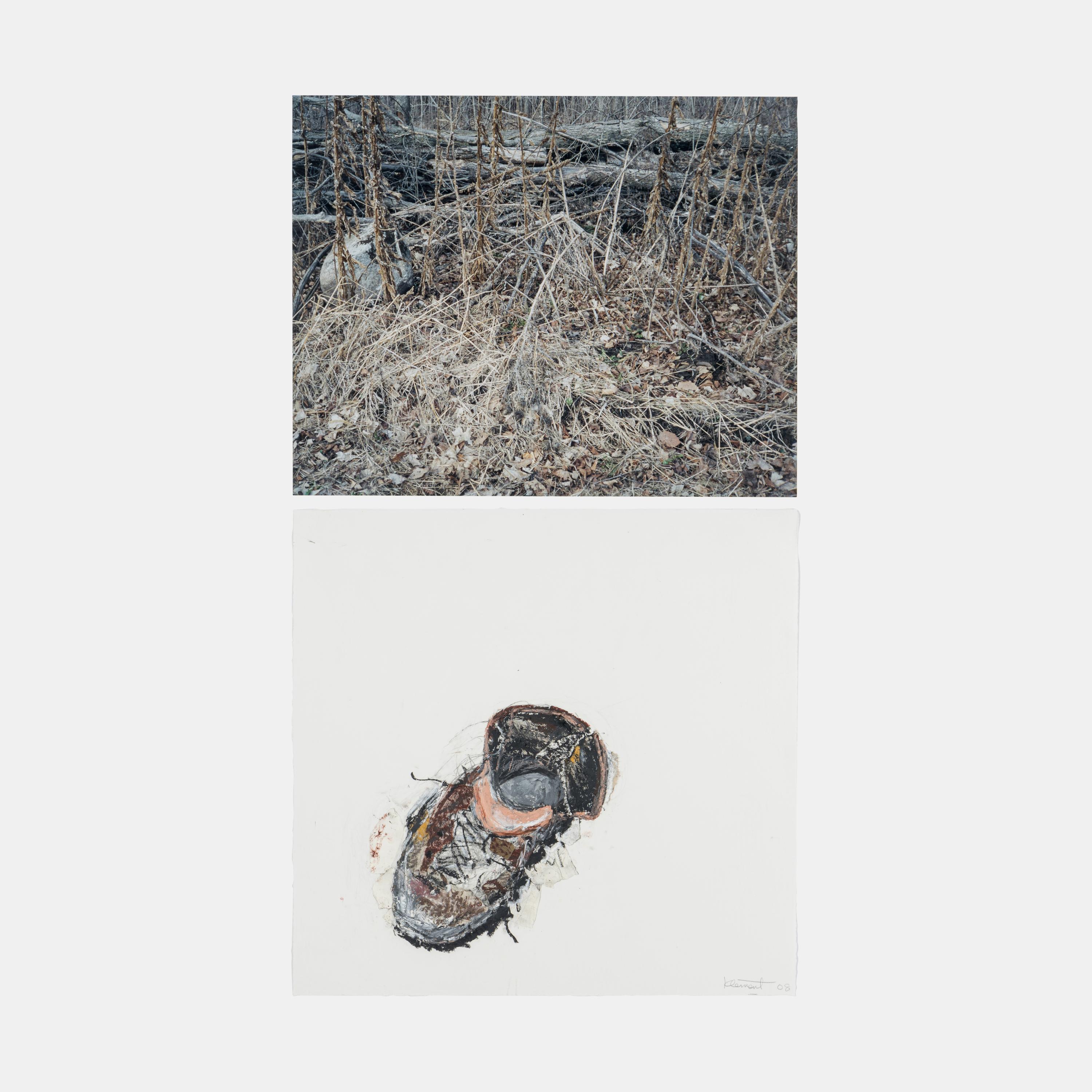 War Monody, Autumn, Series 3, #5 (diptych) , 2008