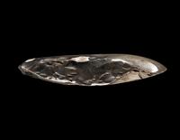 A Neolithic Flint Thick-Butted Axe