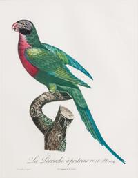 A Group of Four Decorative Prints Height of largest frame 25 x width 21 1/2 inches. — 20TH CENTURY