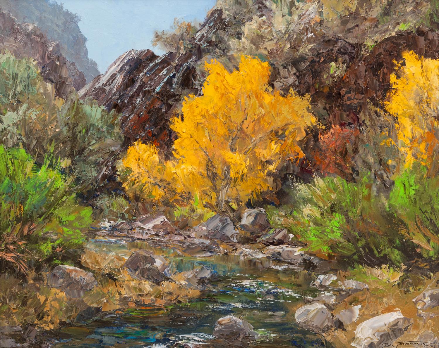 Big Cottonwood Tree