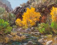 Big Cottonwood Tree