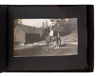 Muir, John (1838-1914). The Yosemite . New York: The Century Co., 1912.