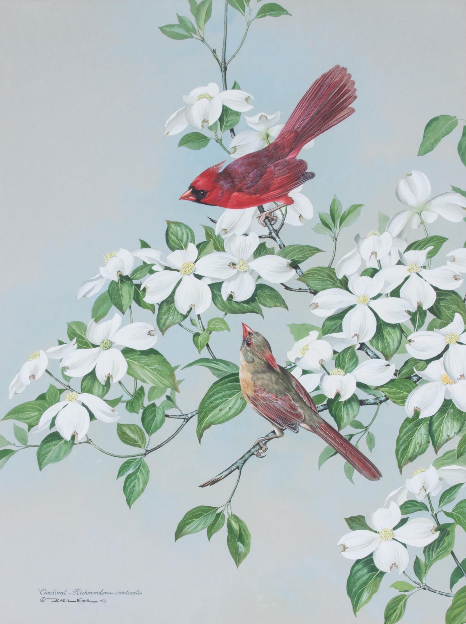 Basil Ede, (British, b. 1931), Cardinal on Dogwood, 1979