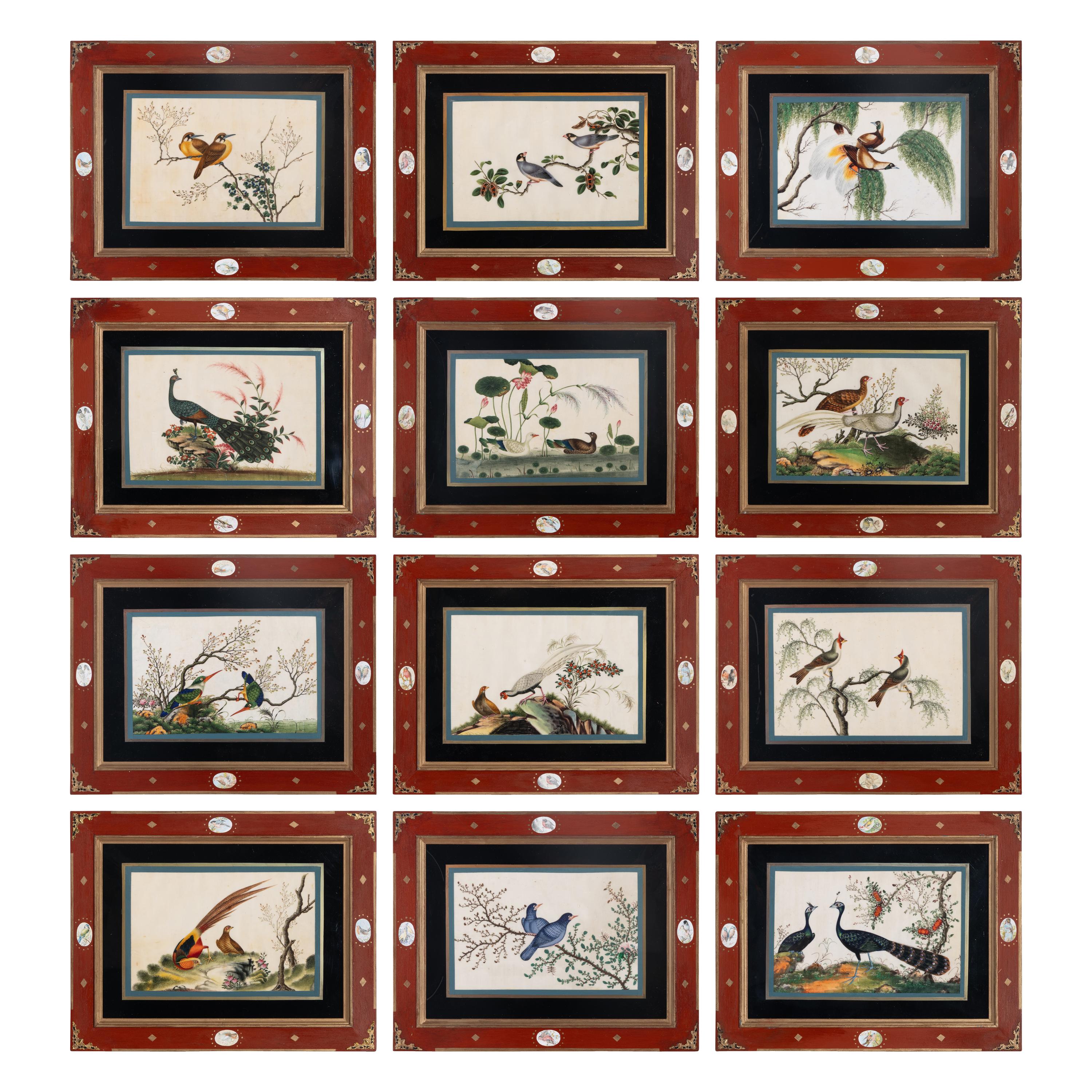 A Set of Twelve Chinese Export Watercolor and Pith Paintings
