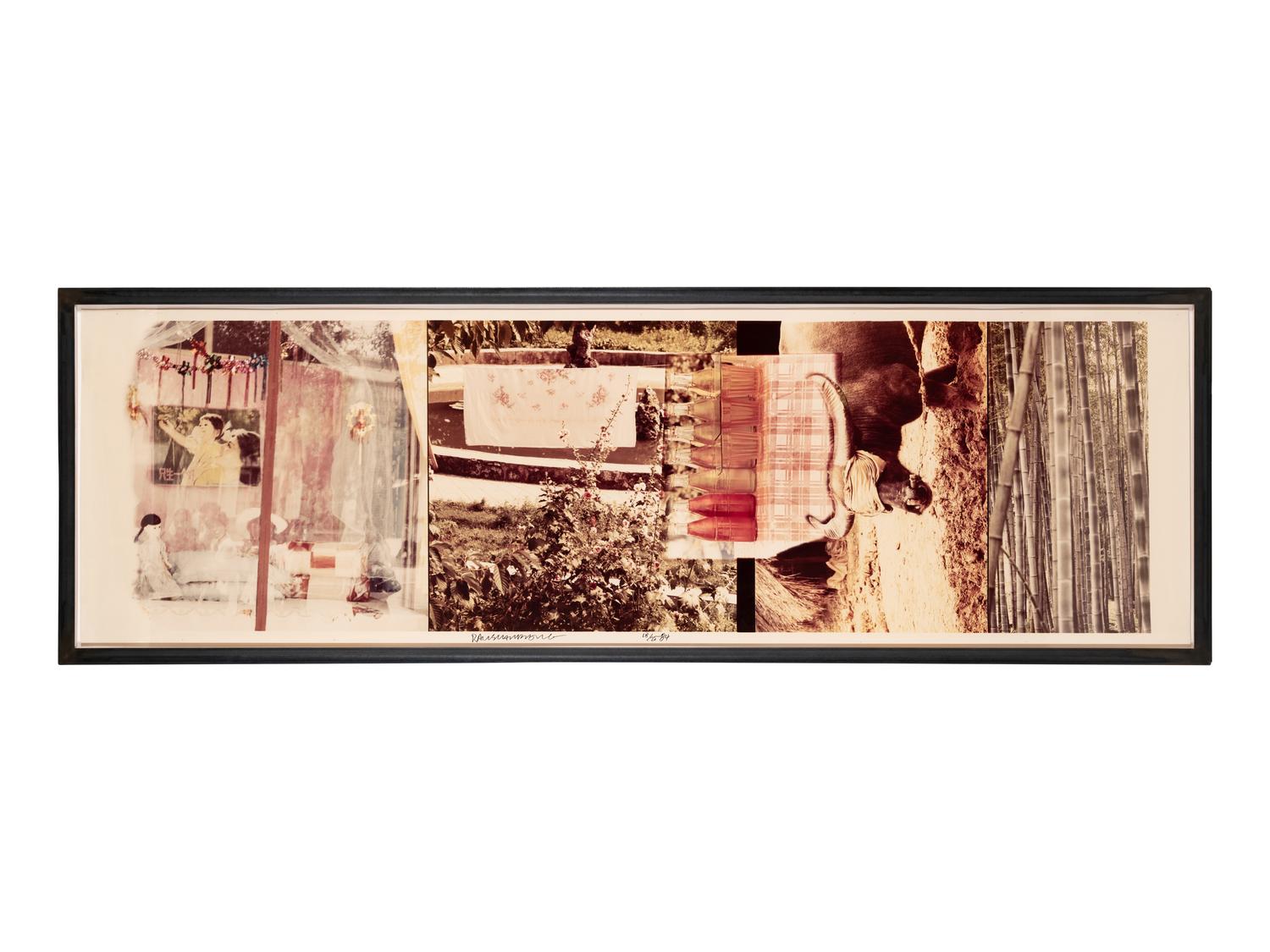 Studies for Chinese Summerhall V