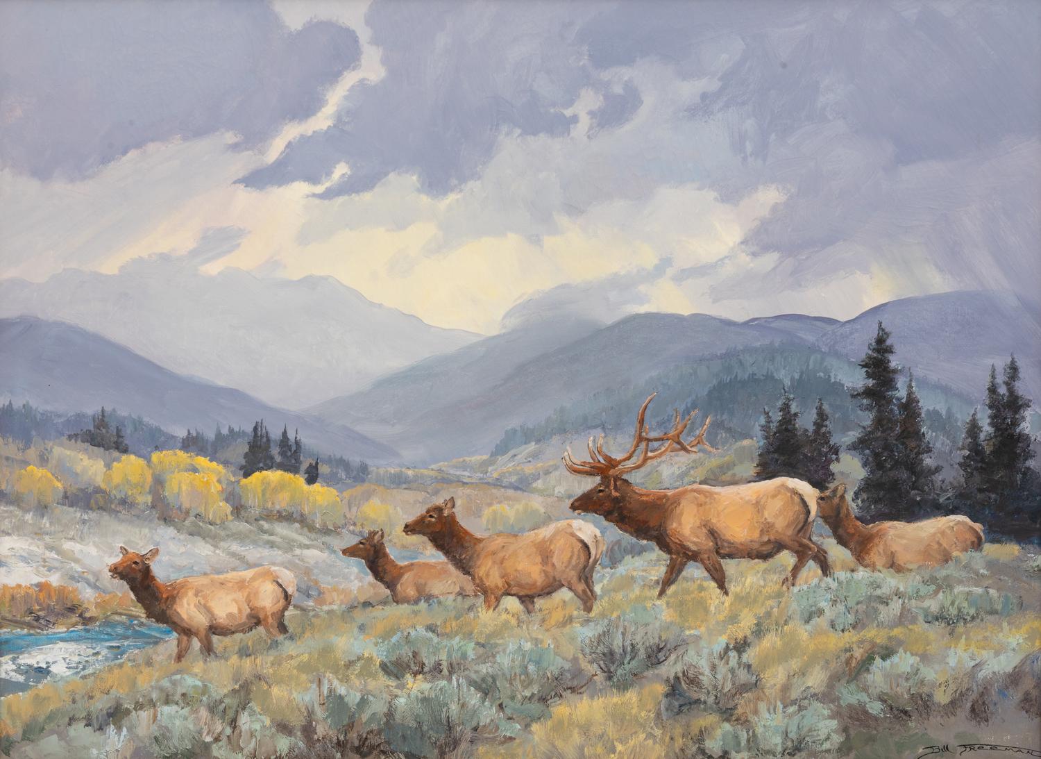 Elk & Afternoon Showers