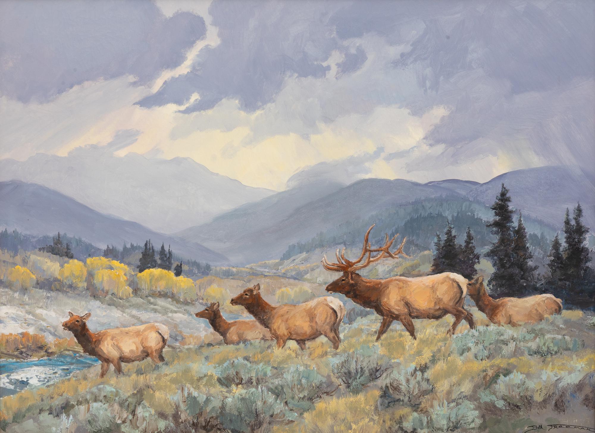 Elk & Afternoon Showers