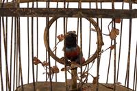 A German Gilt Metal Singing Automaton Bird Cage by Karl Griesbaum
