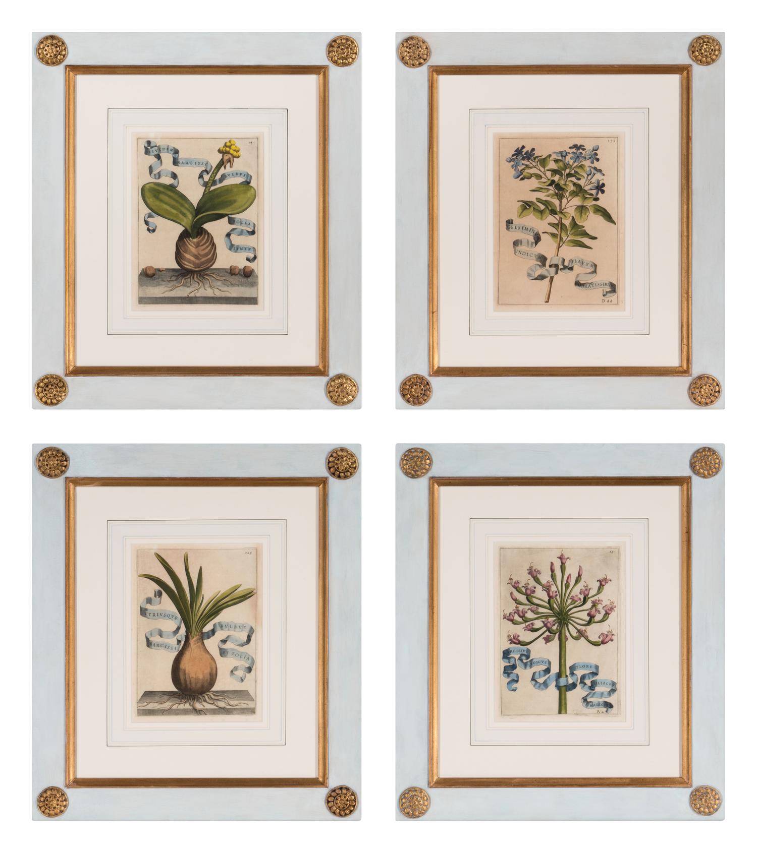 Four Framed Italian Hand-Colored Botanical Engravings