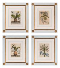 Four Framed Italian Hand-Colored Botanical Engravings