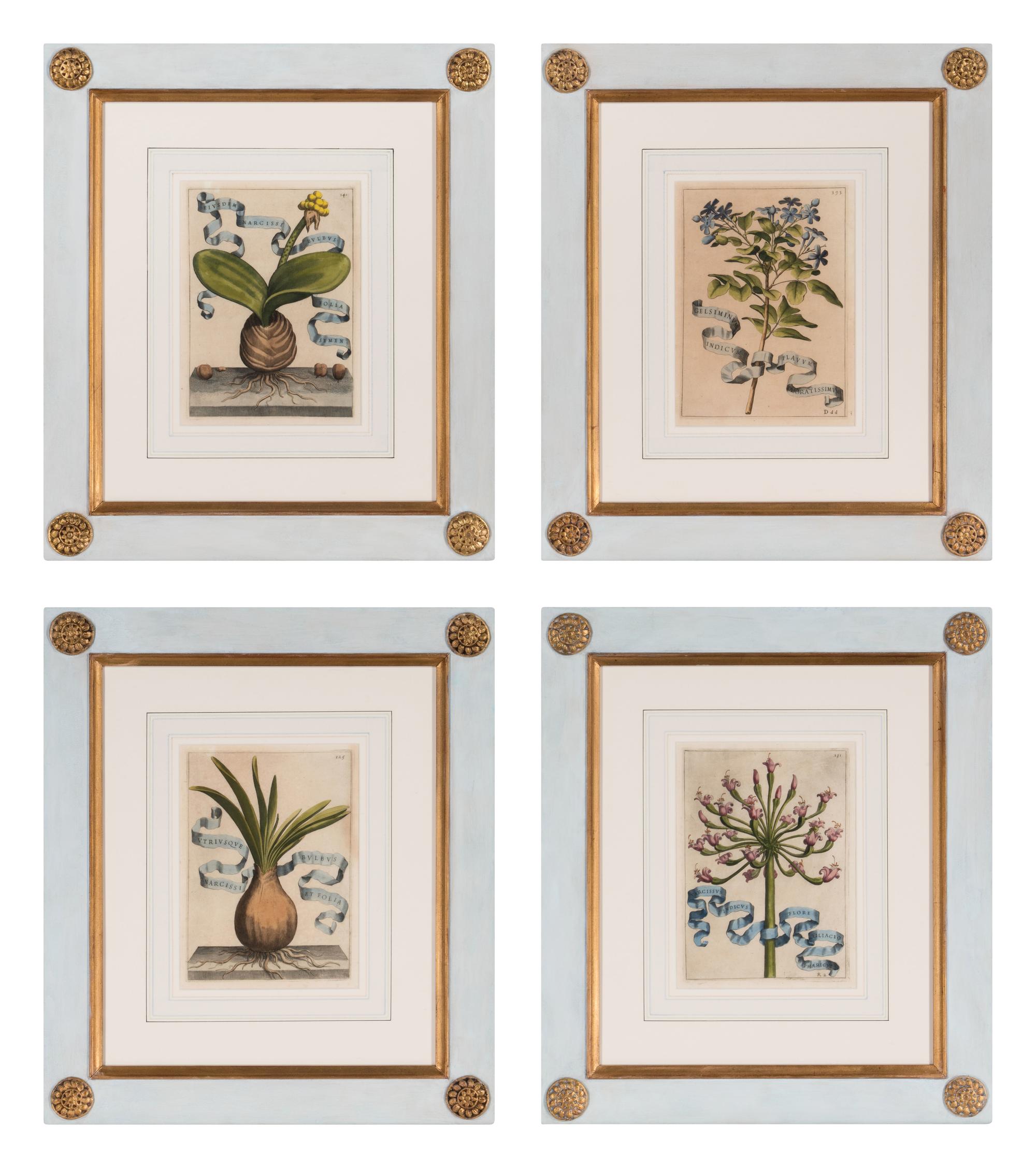 Four Framed Italian Hand-Colored Botanical Engravings