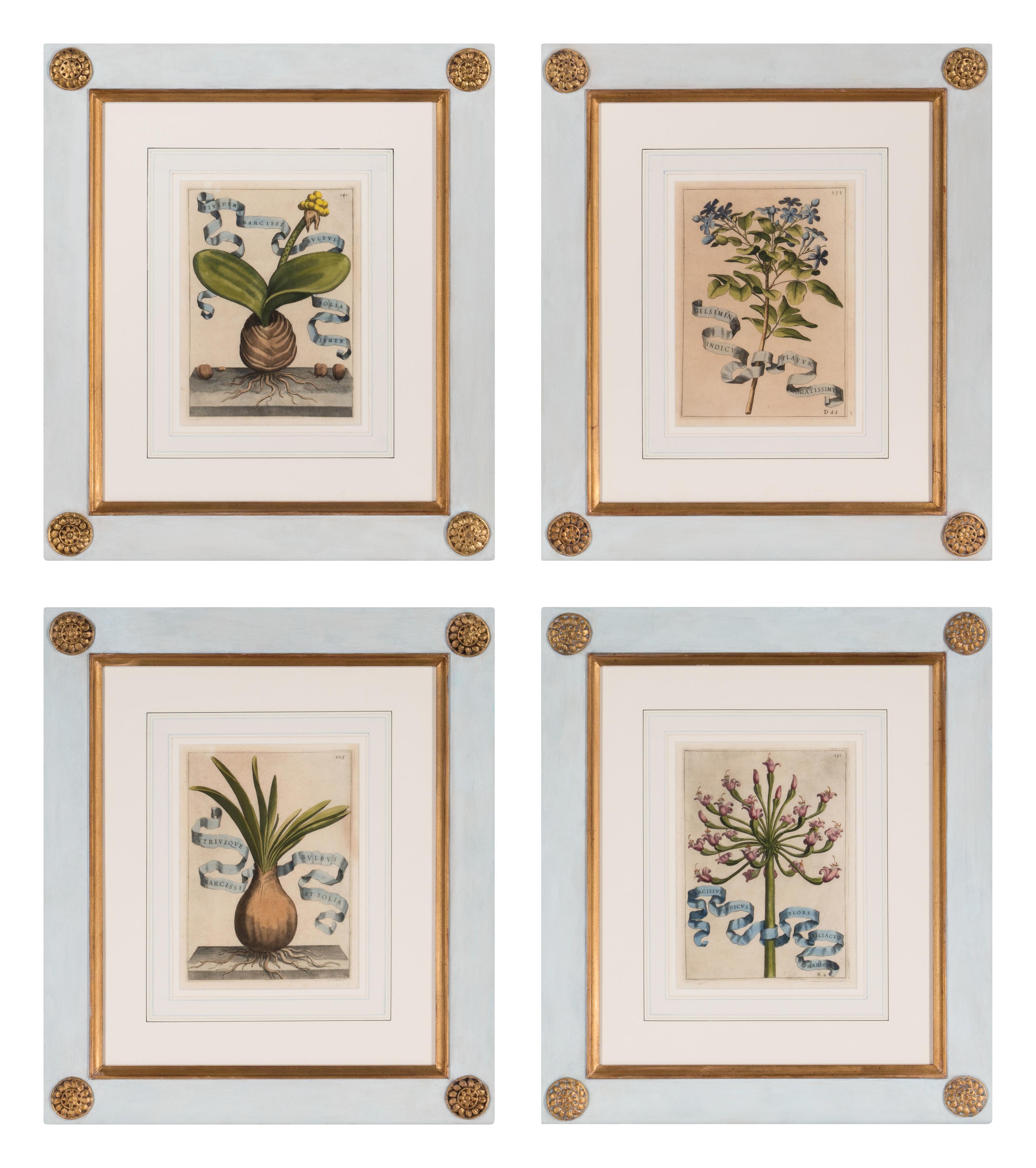 Four Framed Italian Hand-Colored Botanical Engravings